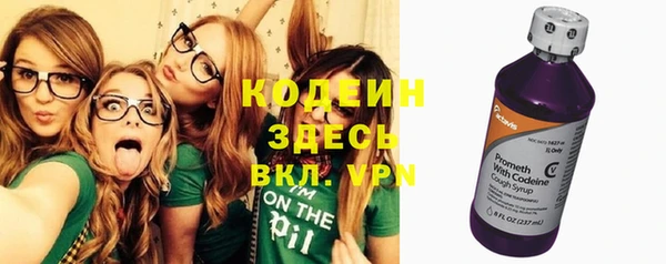 мяу мяу кристалл Гусь-Хрустальный