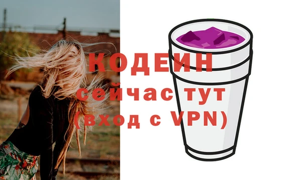мяу мяу кристалл Гусь-Хрустальный