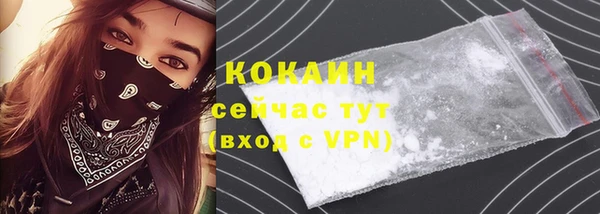 эйфоретик Гусев