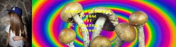 мяу мяу кристалл Гусь-Хрустальный