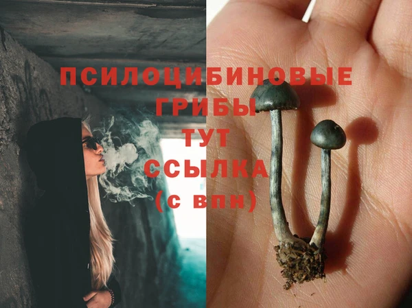 ГАЛЛЮЦИНОГЕННЫЕ ГРИБЫ Гусиноозёрск