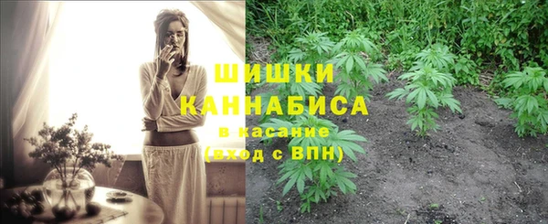 эйфоретик Гусев