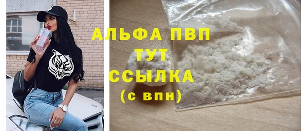 эйфоретик Гусев