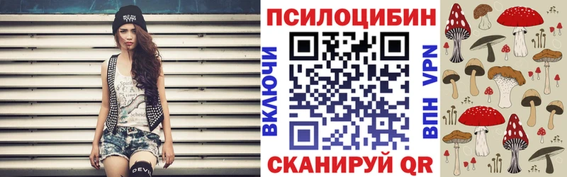 Псилоцибиновые грибы Psilocybe  Себеж 